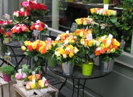 paris flowers</span><br><br><br>
border=