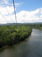 Daintree river