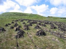Reeks of Peat - Connemara Ireland