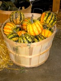 gourds