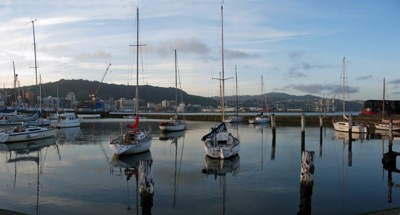 wellington