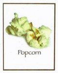 popcorn